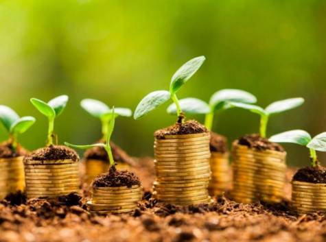 Mais de R$ 6 bi para pequenos produtores