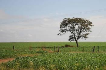 CAR:  Cadastro Ambiental Rural 