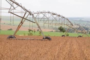 Safra recorde de grãos deve chegar a 240,7 milhões de toneladas