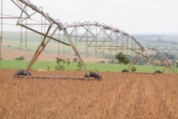 CONAB: Safra recorde de grãos deve chegar a 240,7 milhões de toneladas