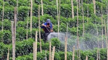 Normas para novos defensivos agrícolas