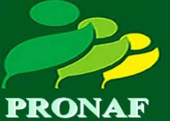 PRONAF: Agricultura familiar 