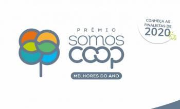 Melhores do Ano: divulgadas as finalistas