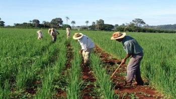 Mapa prepara novo cadastro nacional para registro de agricultores familiares