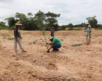 Cooperativas do Ramo Mineral mudam imagem do ‘garimpo’