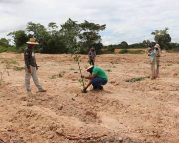 Cooperativas do Ramo Mineral mudam imagem do garimpo