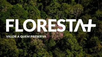 Cooperativas de crédito debatem preservação ambiental