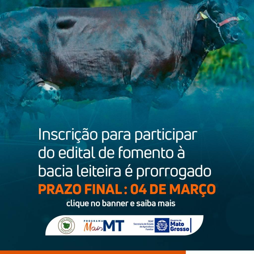 Prorrogado prazo para cooperativas e associações participarem do edital que fomenta a bacia leiteira