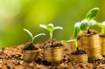 Crédito Rural ganha crédito suplementar de R$ 868 mi