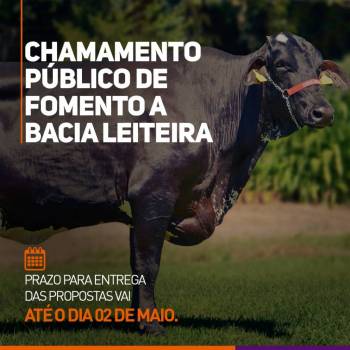 Governo prorroga mais uma vez edital de fomento à bacia leiteira de MT