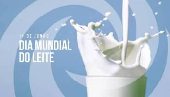 Momento de reflexão no Dia Mundial do Leite   