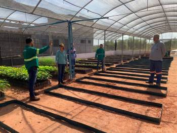 Viveiro de mudas da Coogavepe recebe apoio técnico ambiental