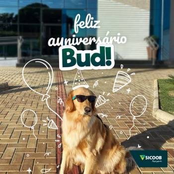 Sicoob faz aniversário de 2 anos do cãolaborador Bud