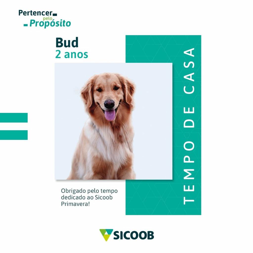 Cãolaborador do Sicoob completa dois anos de Cooperativismo