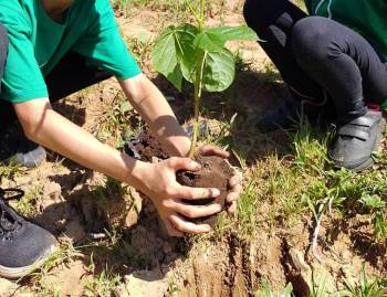 Projeto Recuperando Nascentes chega à 100ª e promove equilíbrio ambiental