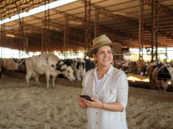 Sicredi apoia bovinocultura com crédito e orientações para o negócio