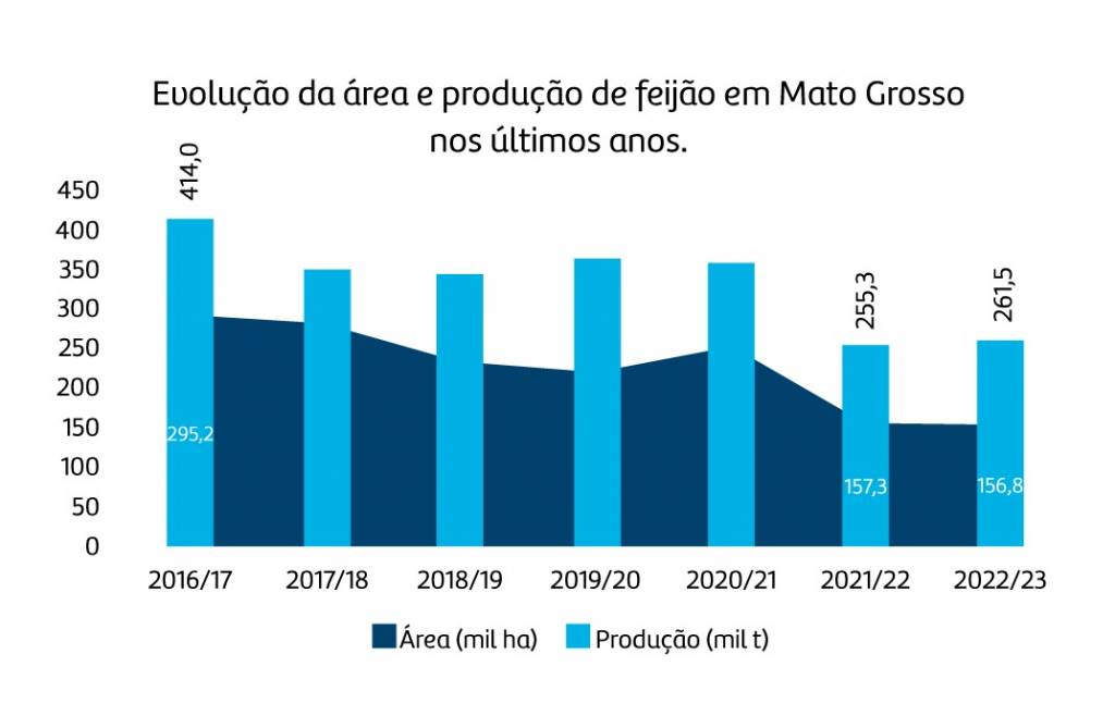 Safra de feijão e o papel da diversificação das culturas agrícolas em MT