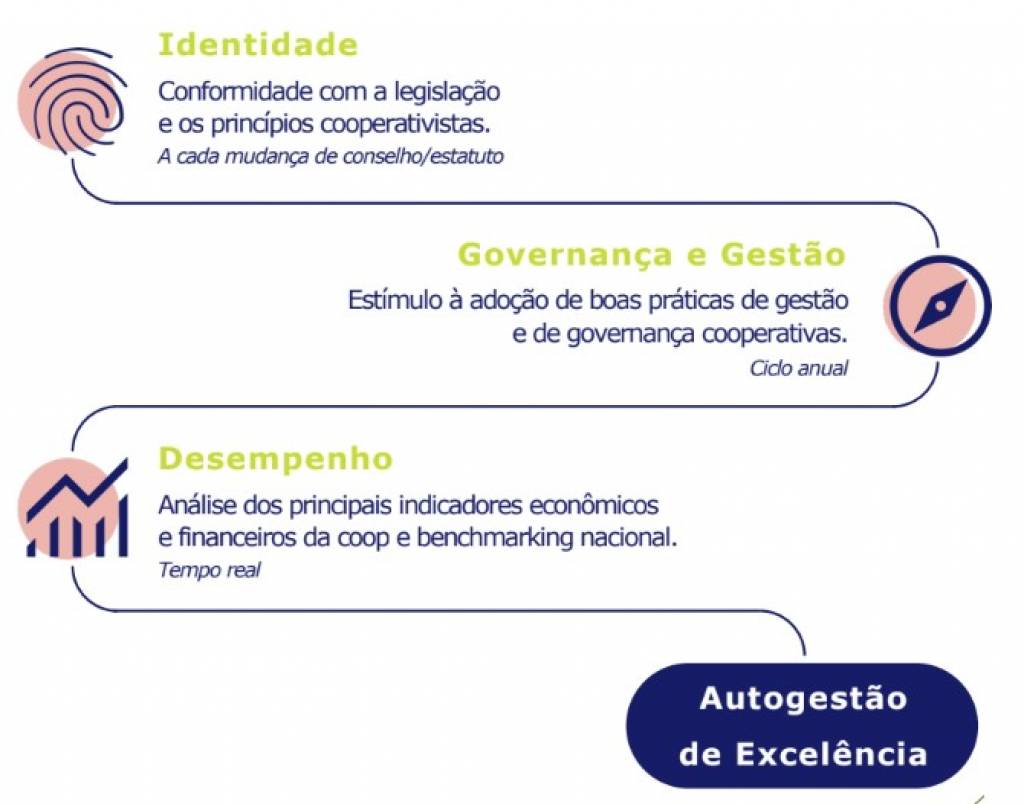 Soluções para gestão orientada a dados nas cooperativas