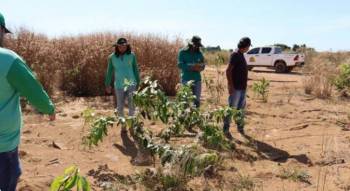 Coogavepe presta assistência Técnica a gestores de garimpo na região norte de Mato Grosso