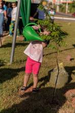 No Dia do Cooperativismo, Unicred MT doa 2 mil mudas de árvores para Projeto Verde Novo