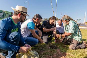 No Dia do Cooperativismo, Unicred MT doa 2 mil mudas de árvores para Projeto Verde Novo